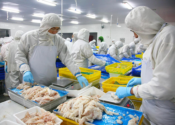 食品工廠潮濕問題如何解決，用仟井除濕機！