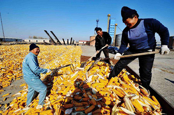夏季糧食入庫潮濕怎么辦，糧倉潮濕用什么除濕機？